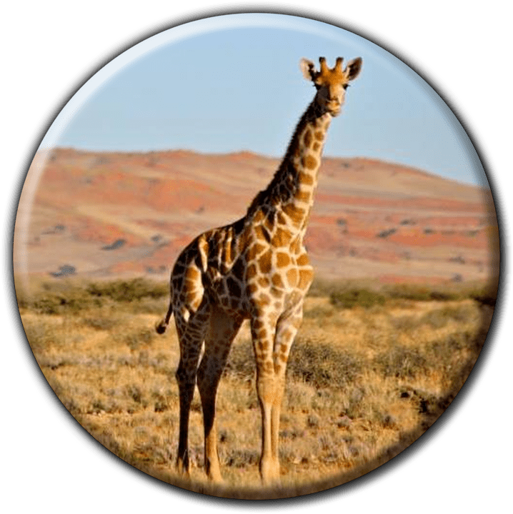 Weltevrede Guest Farm - Camping and Caravanning Accommodation in Solitaire, Namibia