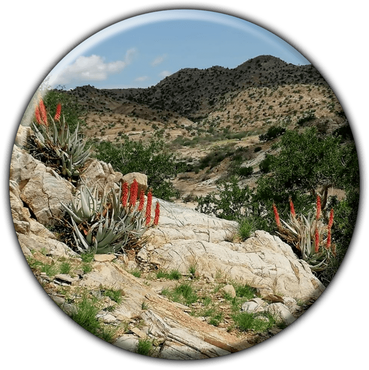 Achab Campsite - Camping and Caravanning Accommodation in Usakos, Namibia