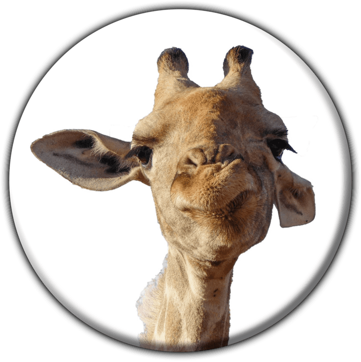 Okutala Etosha Lodge - Lodge Accommodation in Etosha, Namibia