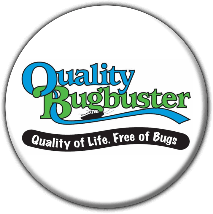 Quality Bug Busters - Pest Control :  Sustainable Solutions & Prevention in Windhoek, Namibia